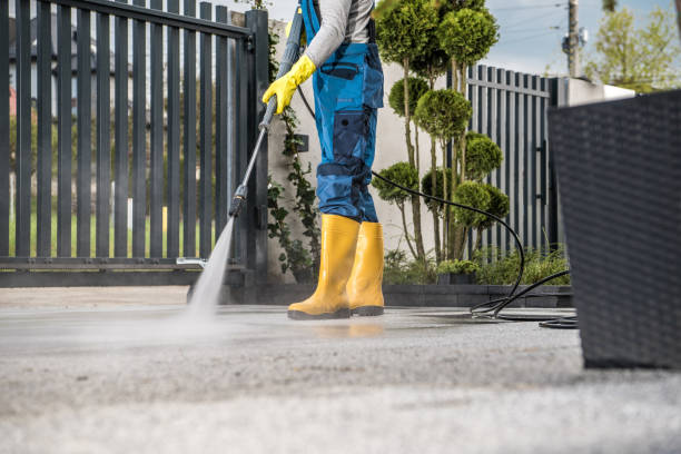 Best Driveway Pressure Washing  in Malibu, CA